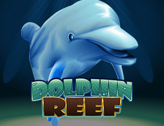 ninegames_dolphin_reef 皇冠体育娱乐海豚乐园